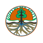 Dinas Lingkungan Hidup